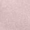 Pale Pink Pale Pink