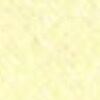 Cream Yellow