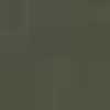 Olive Green Olive Green