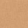 Cinnamon Cinnamon
