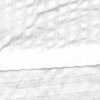 White White