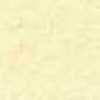 Yellow Beige Yellow Beige