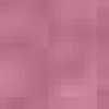Orchid Pink Orchid Pink