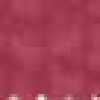 Cyclamen Cyclamen