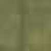 Ash Green Ash Green