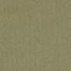 Beige Beige