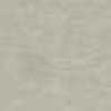 Light Gray Light Gray