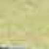 Sunshine Yellow Sunshine Yellow