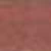Coral Orange Coral Orange