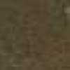 Antique Khaki Antique Khaki