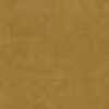 Mustard Mustard