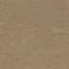 Light Brown Light Brown