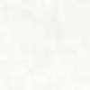 White White