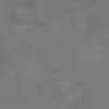Gray Gray