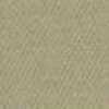 Beige Beige