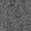 Gray Gray