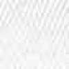 White White