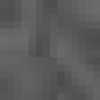 Dark Gray Dark Gray