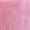 Rose Pink Rose Pink