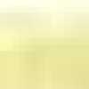 Jasmine Yellow Jasmine Yellow