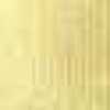 Cream Yellow Cream Yellow