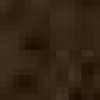 Raw Umber Raw Umber