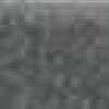 Gray Gray