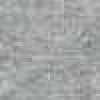 Light Gray Light Gray
