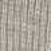Gray Gray