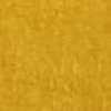 Mustard Mustard