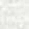 Bleached White Bleached White