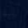 Navy Navy