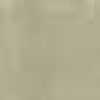 Beige Beige