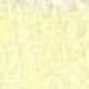 Corn Yellow Corn Yellow