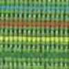 Light Green Light Green