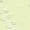 Light Green Light Green