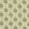 Oyster Oyster