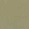 Light Brown Light Brown
