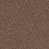 Light Brown Light Brown