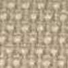 Beige Beige