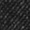 Black Heather