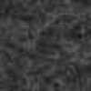 Dark Gray Dark Gray