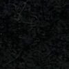 Black Black
