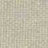 Beige Beige