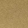 Light Brown Light Brown