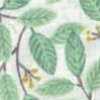 Blue Green Blue Green