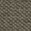 Gray Beige