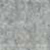 Gray Gray