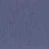Salvia Blue Salvia Blue