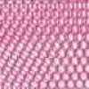 Passion Pink Passion Pink